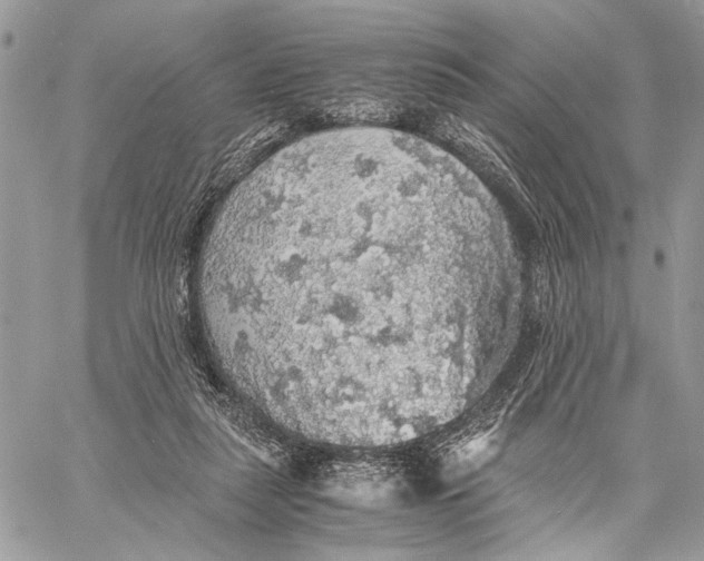 X0000058780259200510211755