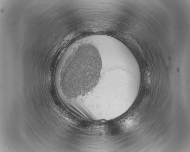 X0000058780260200510211755