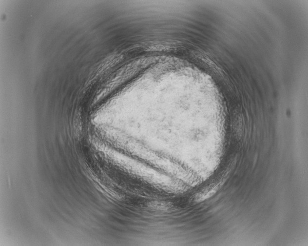 X0000058780261200510211755