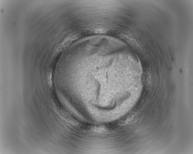 X0000058780262200510211755