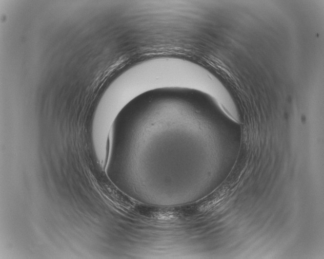 X0000058780264200510211755