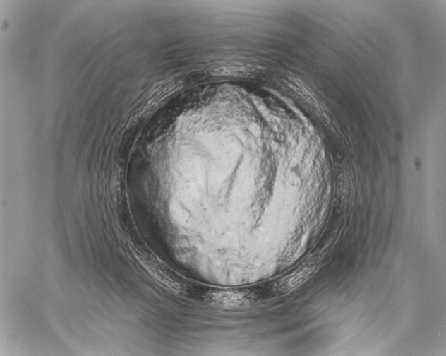 X0000058780265200510211755