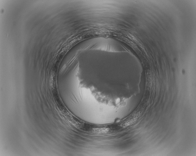 X0000058780266200510211755