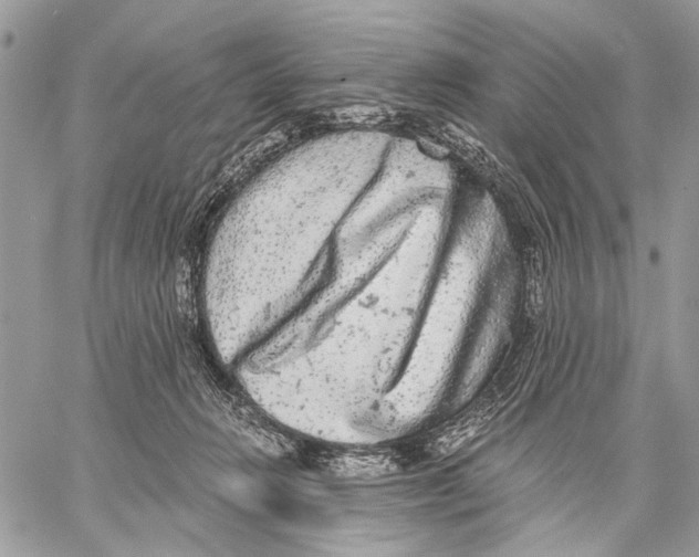 X0000058780270200510211755