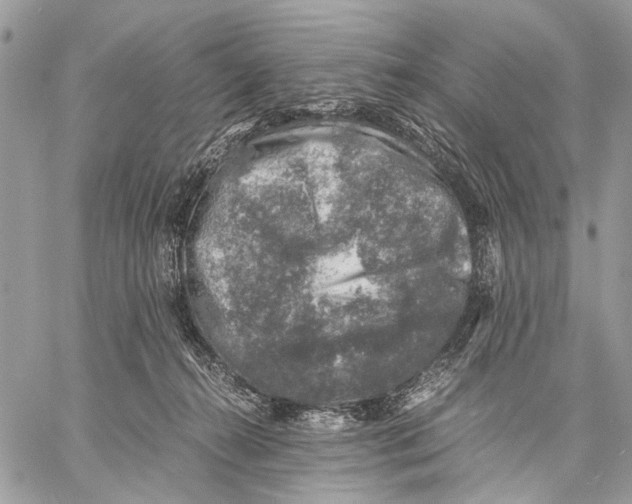 X0000058780272200510211755