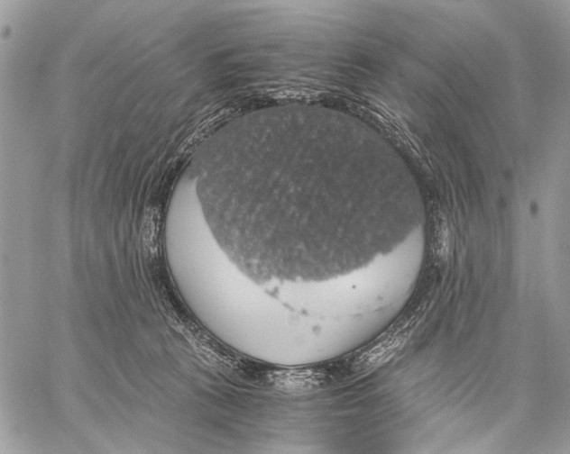 X0000058780273200510211755