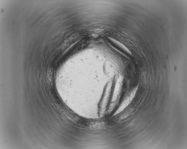 X0000058780274200510211755