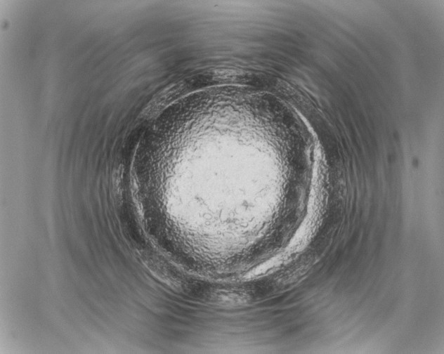 X0000058780275200510211755