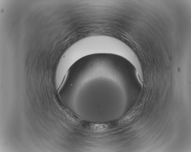 X0000058780277200510211755