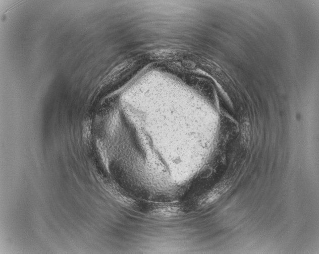 X0000058780278200510211755