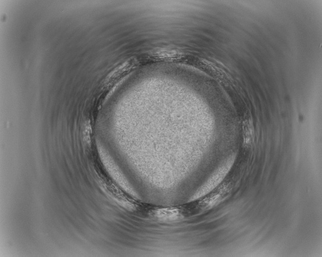 X0000058780279200510211756