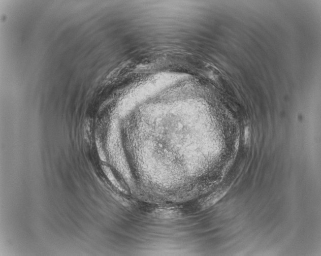 X0000058780280200510211756