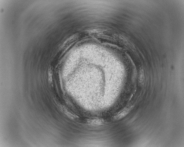 X0000058780282200510211756