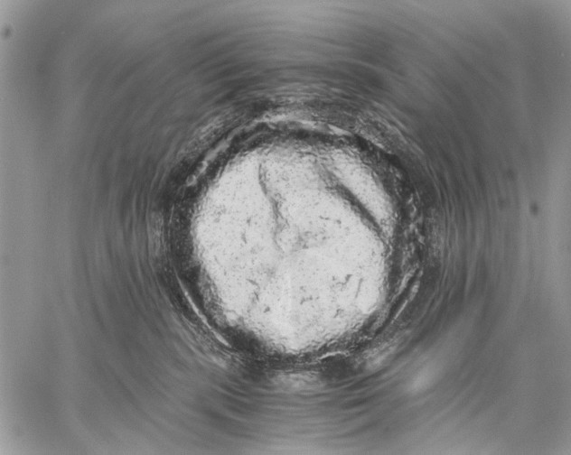 X0000058780283200510211756