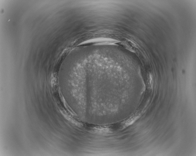 X0000058780284200510211756