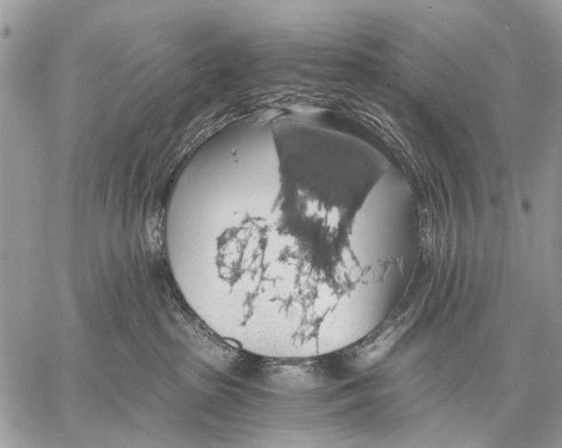 X0000058780285200510211756