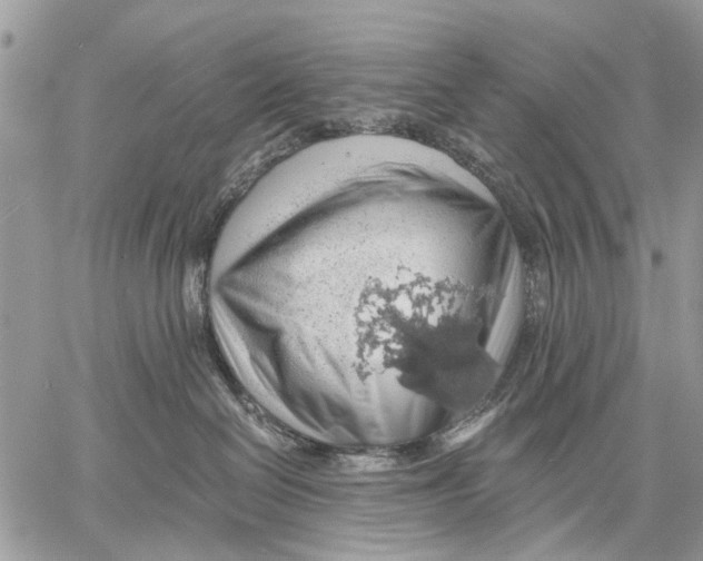 X0000058780286200510211756