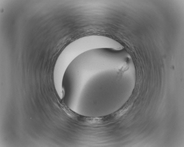 X0000058780288200510211756