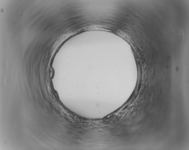 X0000058780289200510211755