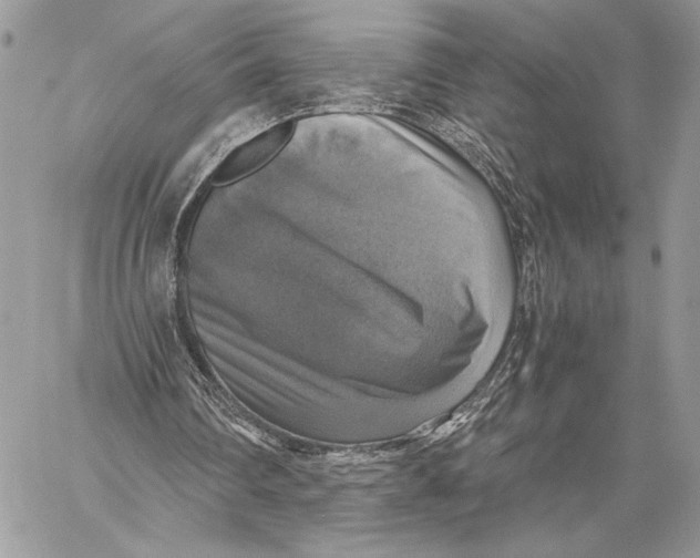 X0000058780290200510211755