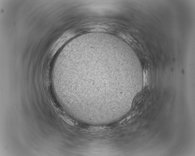 X0000058780291200510211755