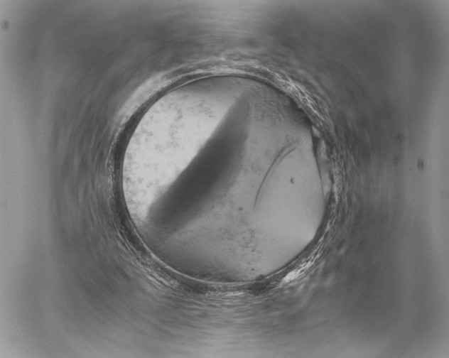 X0000058780295200510211755