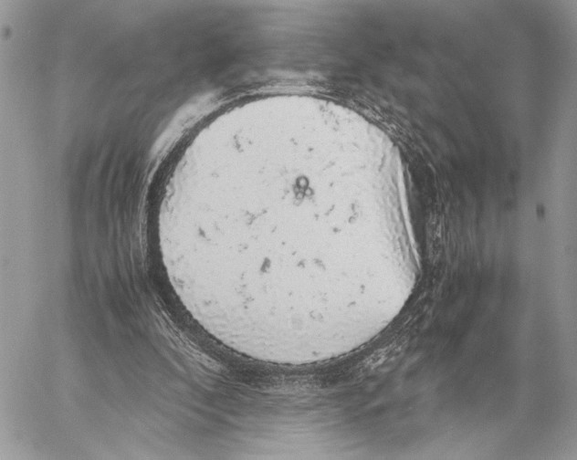 X0000058780296200510211755