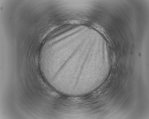 X0000058780297200510211755