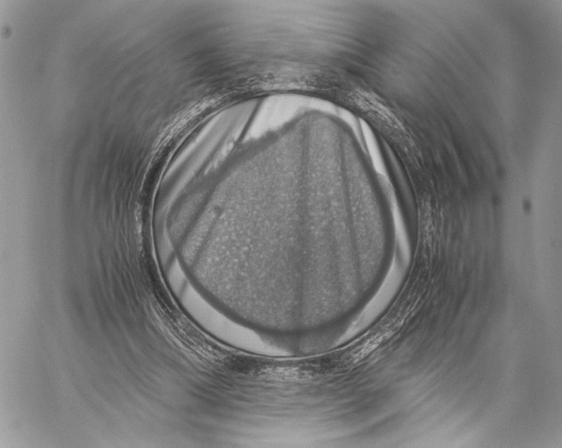 X0000058780298200510211755