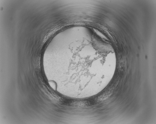 X0000058780299200510211755