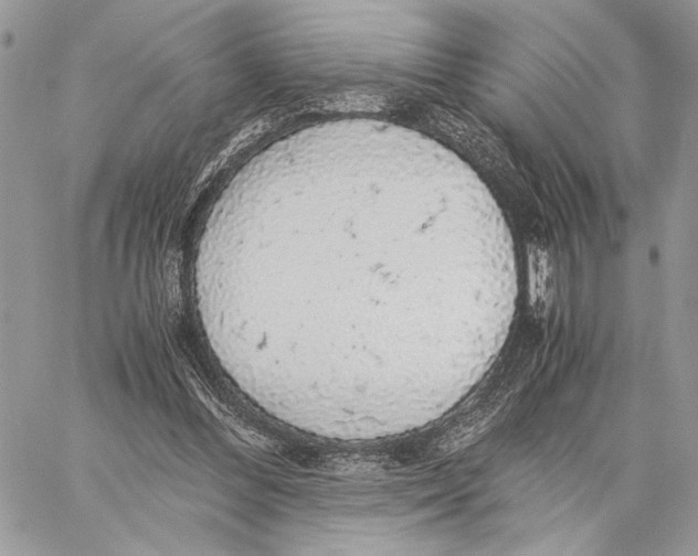 X0000058780300200510211755