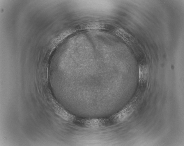 X0000058780301200510211755