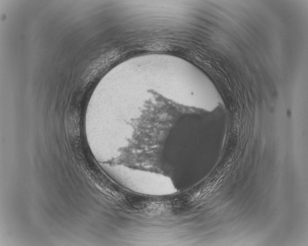 X0000058780303200510211755