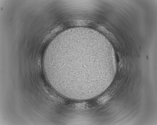 X0000058780306200510211755