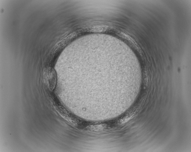 X0000058780307200510211755