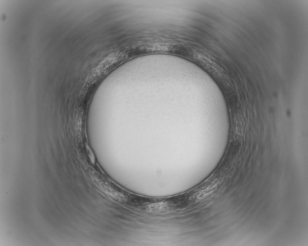 X0000058780309200510211755