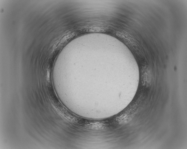 X0000058780310200510211755