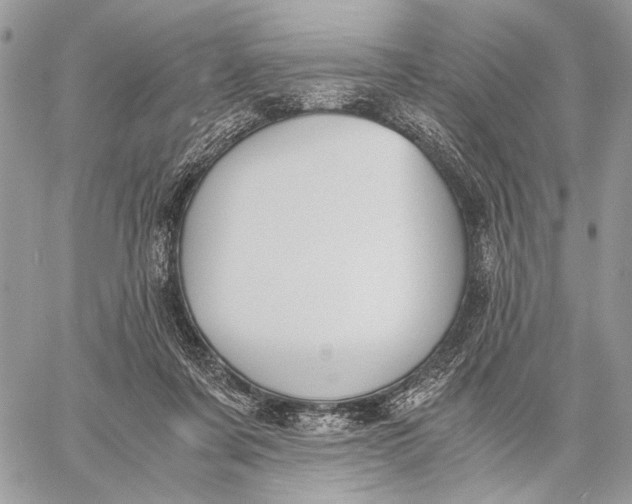 X0000058780311200510211755