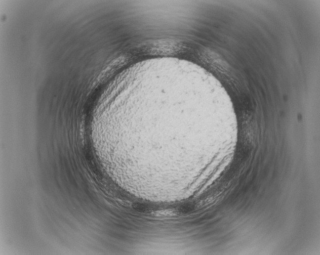 X0000058780312200510211754