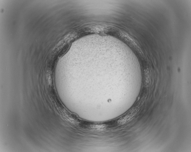 X0000058780313200510211754