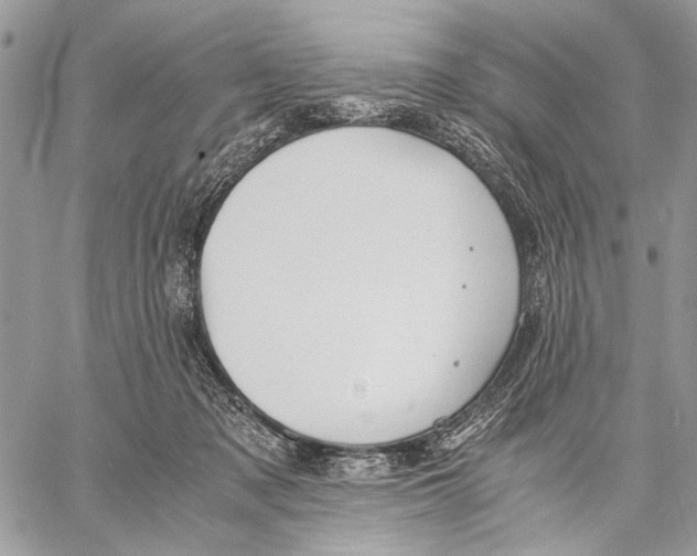 X0000058780317200510211754