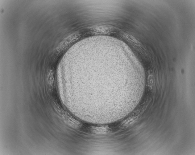 X0000058780318200510211754