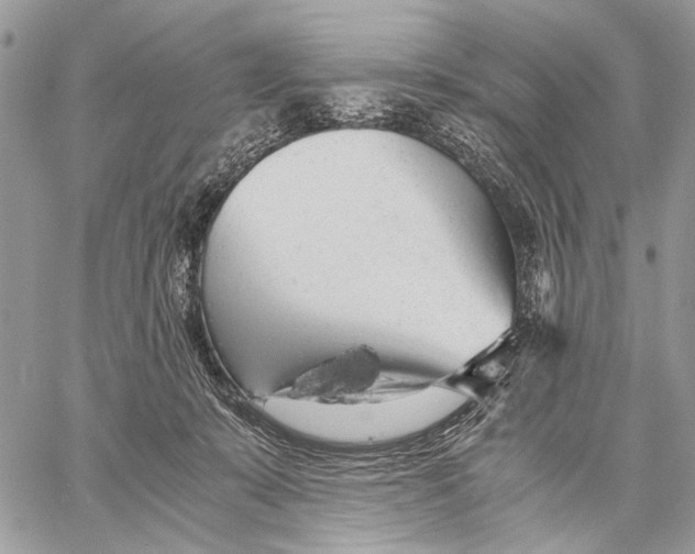 X0000058780319200510211754