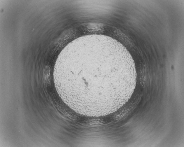 X0000058780320200510211754