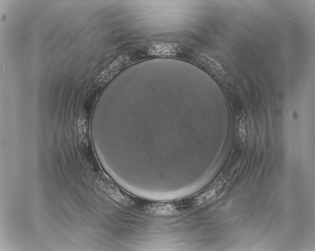 X0000058780322200510211754