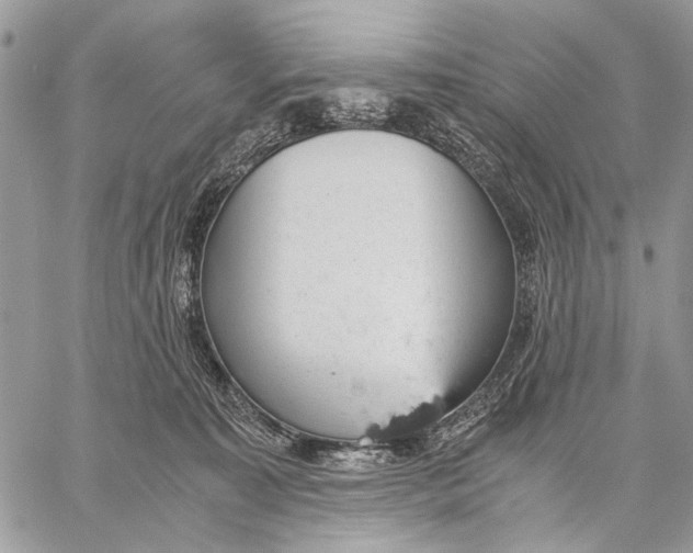 X0000058780323200510211754