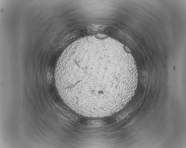 X0000058780324200510211754