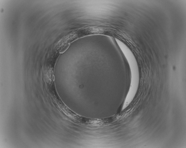 X0000058780325200510211754