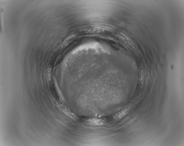 X0000058780326200510211754