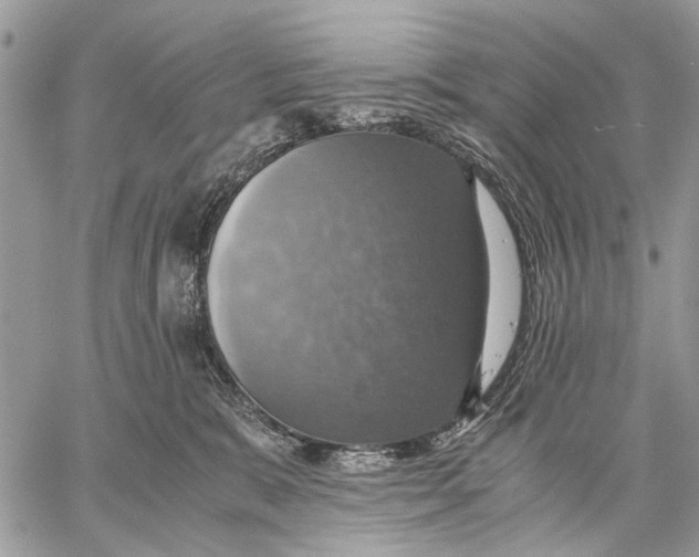 X0000058780327200510211754